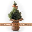 VARIOUS ARTISTS - COUNTRY CHRISTMAS (CD) Online now