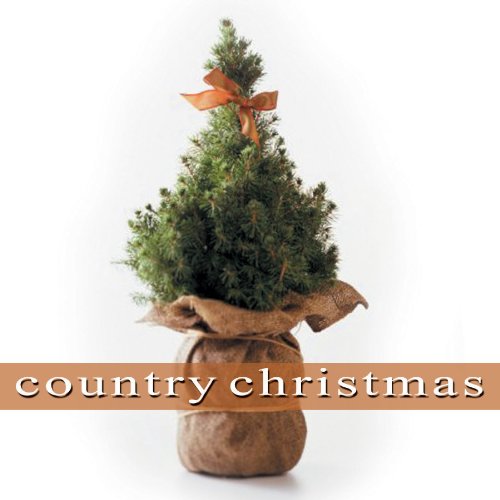 VARIOUS ARTISTS - COUNTRY CHRISTMAS (CD) Online now