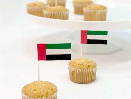 UAE Flag Picks Plastic & Paper 30pcs For Sale